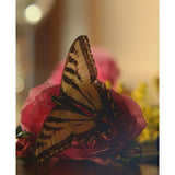 Gucci Guilty Absolute Eau de Parfum Vaporisateur (W) 3 Fl Oz